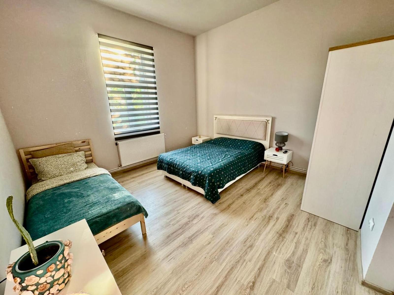 Serbian House ทิมิชัวรา ภายนอก รูปภาพ